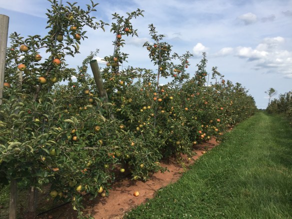 B6A85836-CDBC-488C-BCBC-97EFB7D03C40