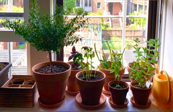 DEB7BA67-6947-4BC4-BCBD-FF66A4460366