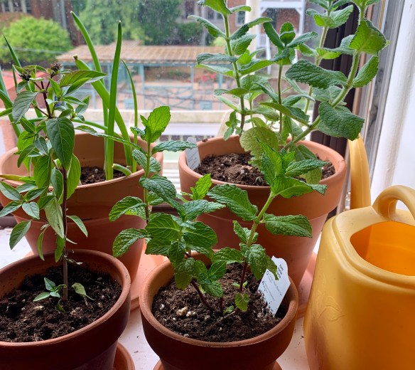 F3103B63-0286-492B-B26D-93EEC69D00AB