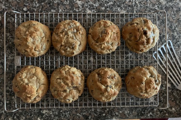 8F9F4A00-9535-452D-9344-9B54221A22CA